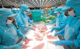 Tám tháng, ngành nông nghiệp xuất siêu 5,89 tỷ USD
